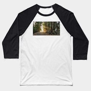 Fig Trees, Norfolk Island Baseball T-Shirt